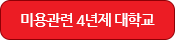 미용관련 4년제 대학교
